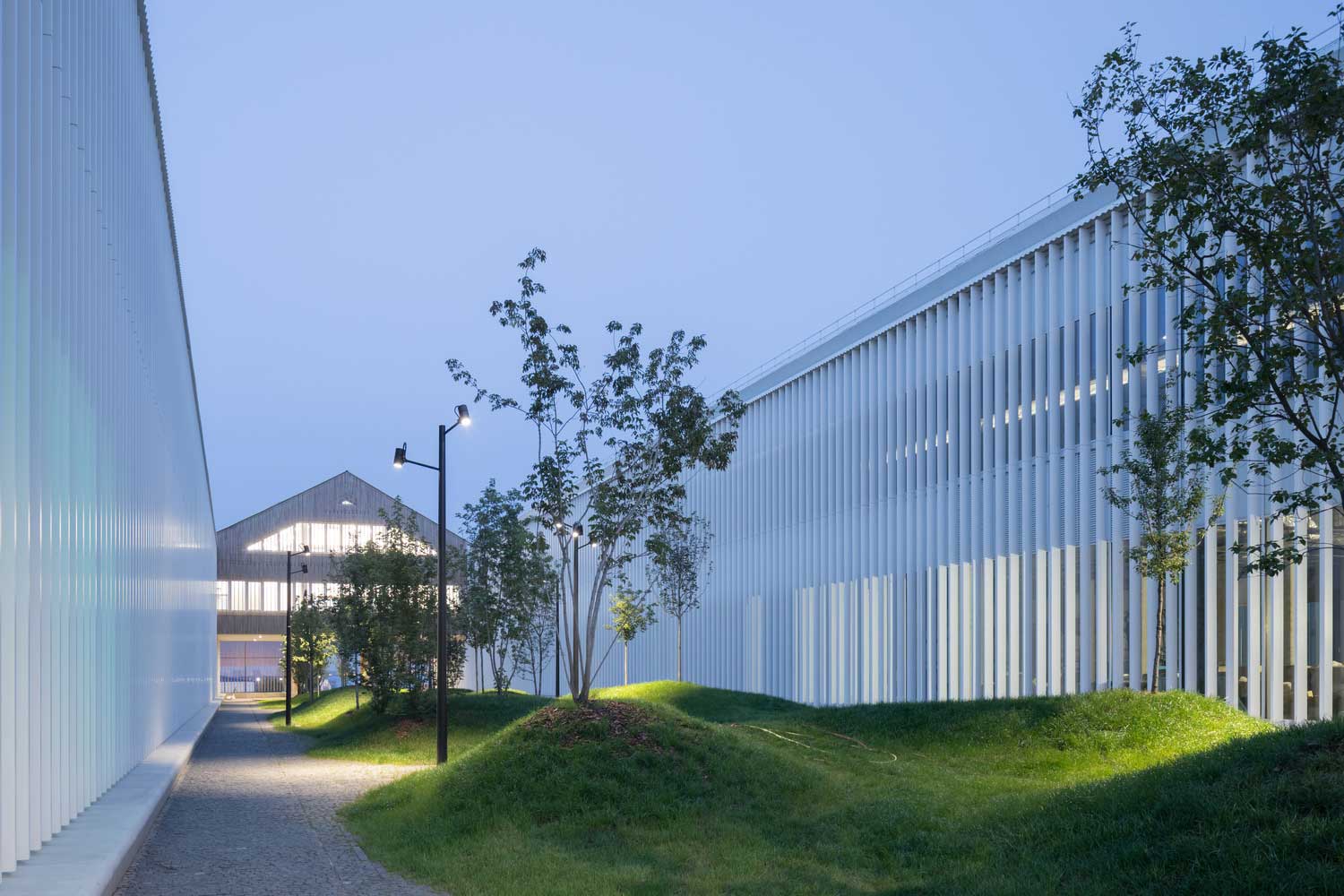 408.1_C0_1809_1249_IB_H موسسه علوم و فناوری Skolkovo / Herzog & de Meuron