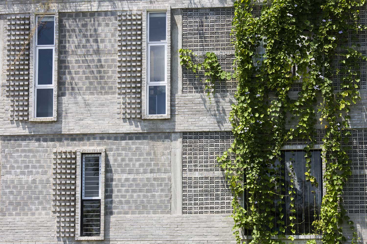 _Y6A0644 دفتر مدرن روستا / معماران هوخو