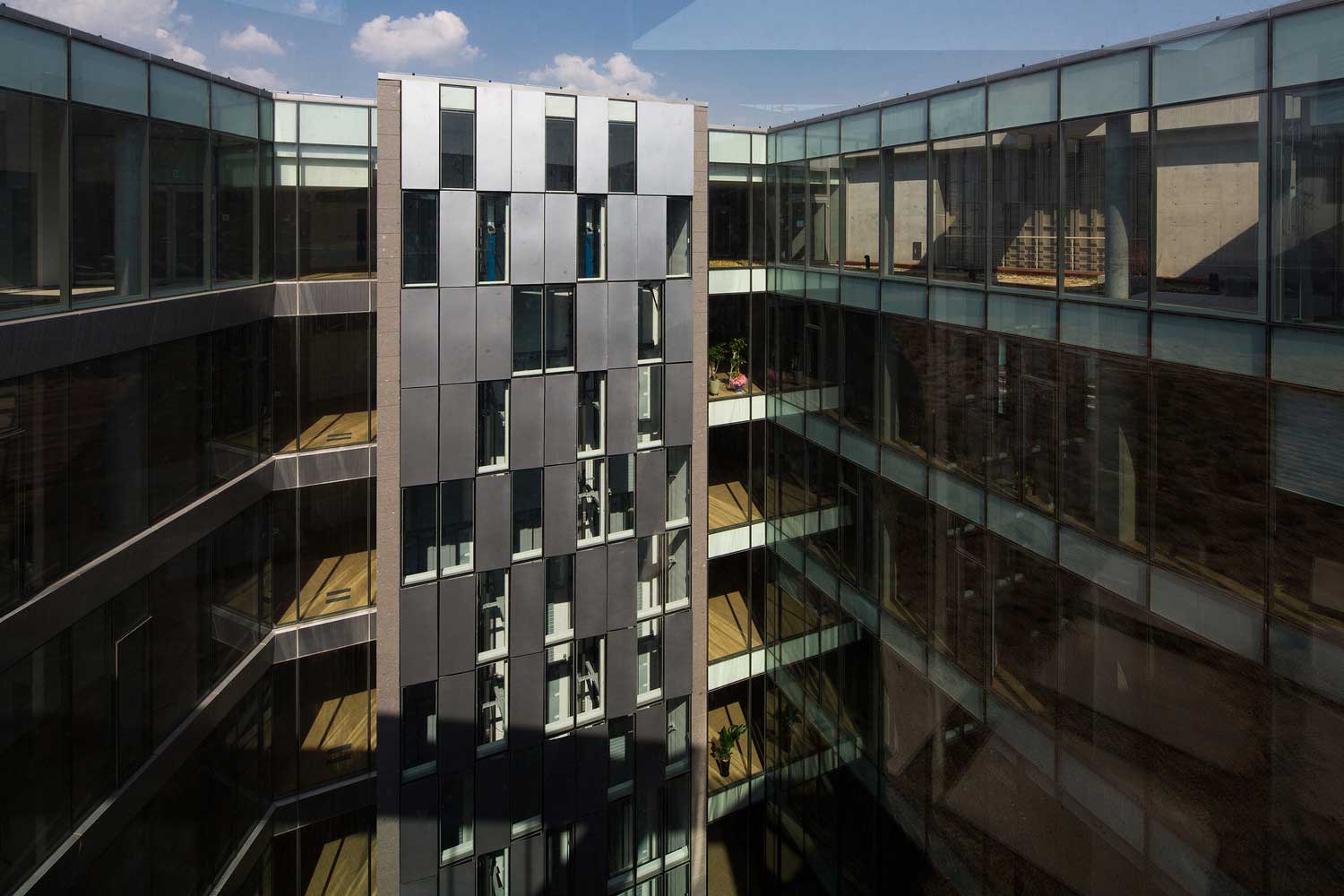 dragonfly (10) Dragonfly / iArc Architects