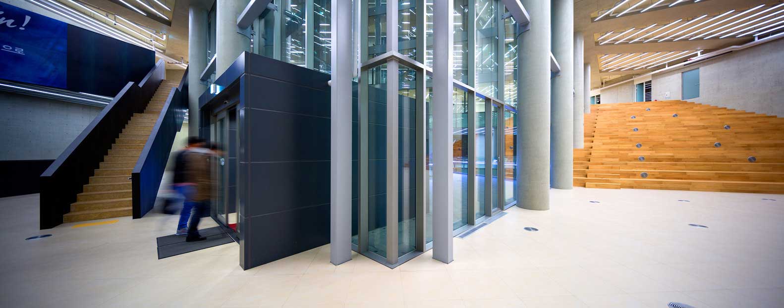 dragonfly (13) Dragonfly / iArc Architects
