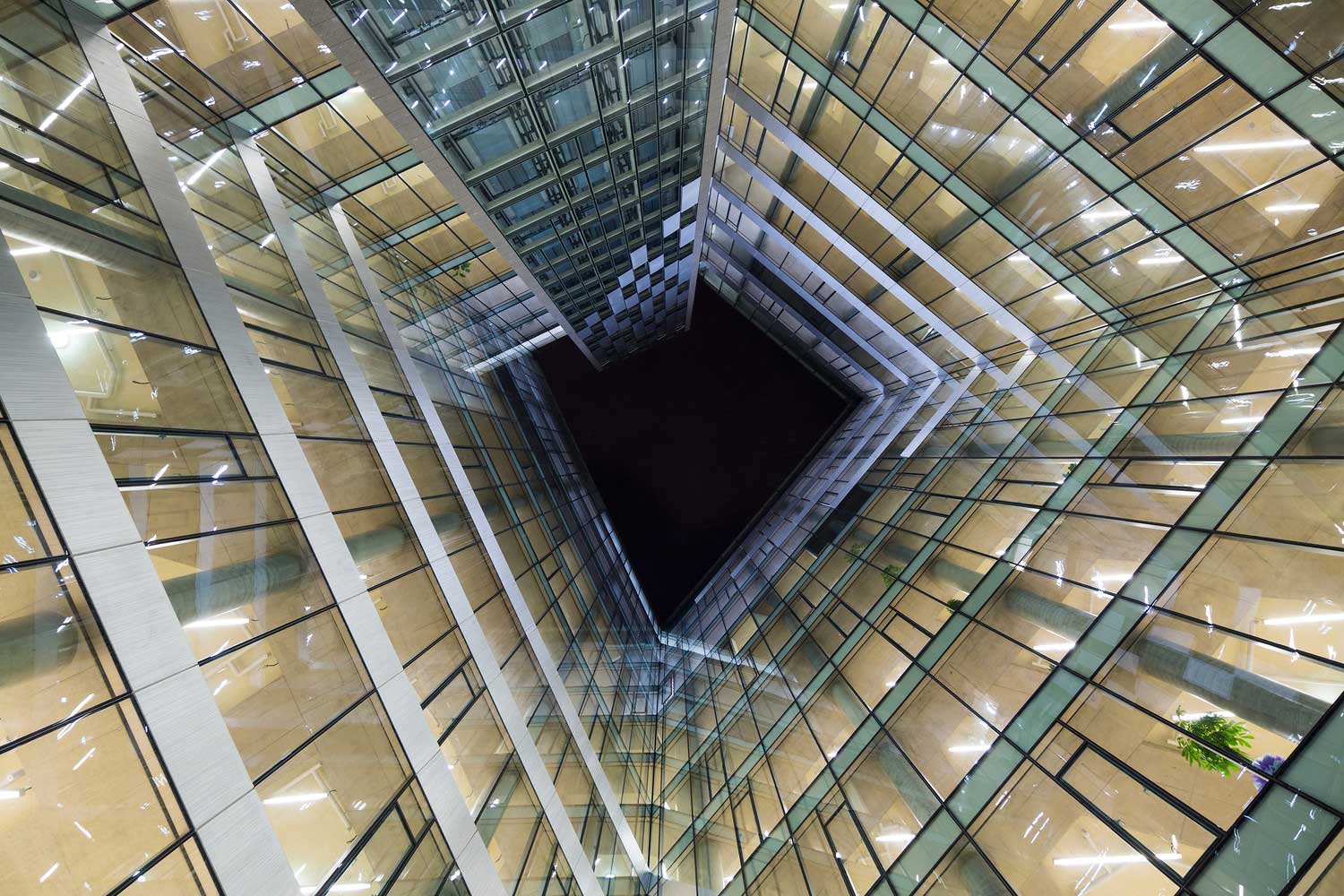 dragonfly (14) Dragonfly / iArc Architects