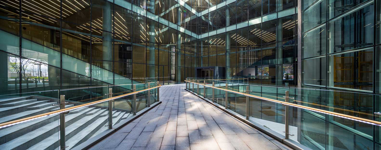 dragonfly (5) Dragonfly / iArc Architects