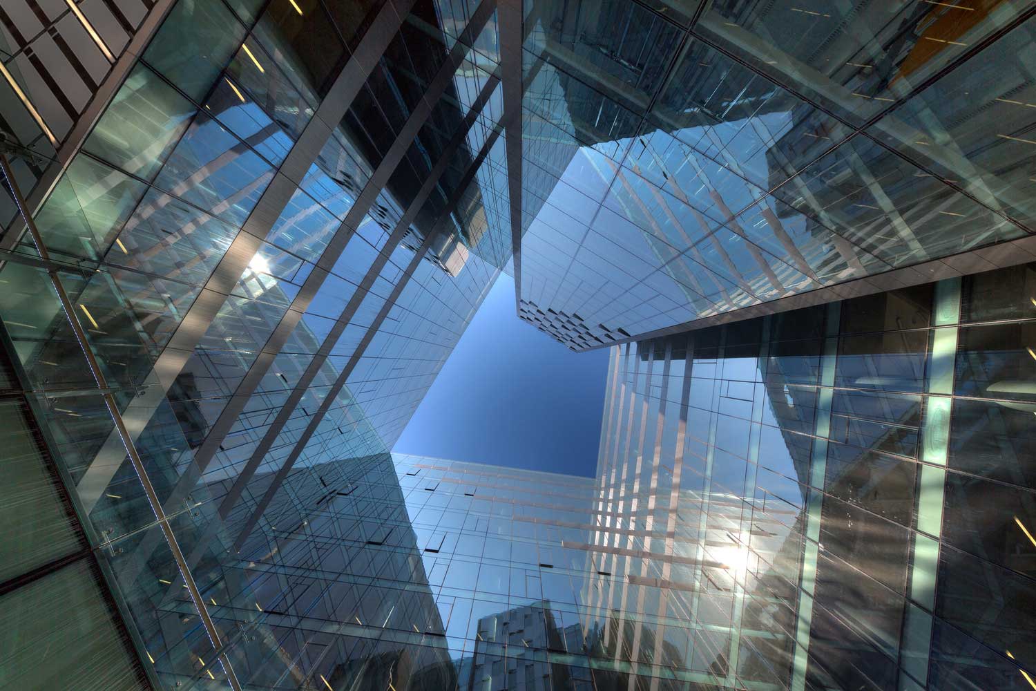 dragonfly (7) Dragonfly / iArc Architects