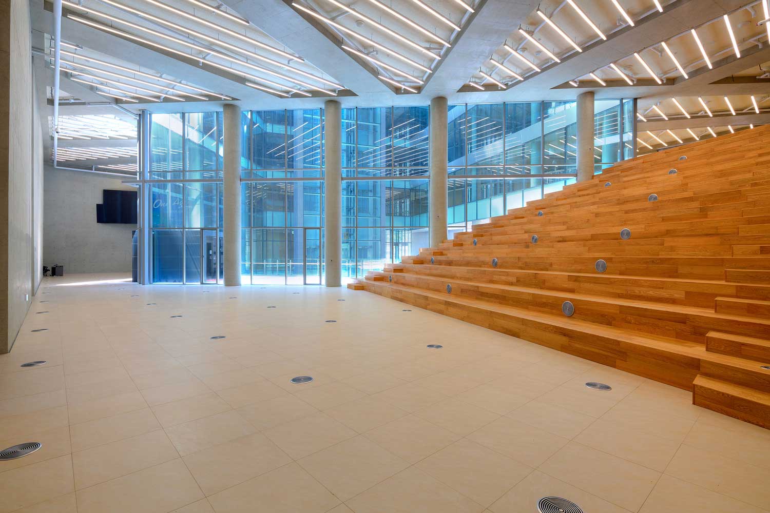 dragonfly (8) Dragonfly / iArc Architects